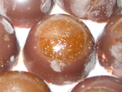 dôme des mariés