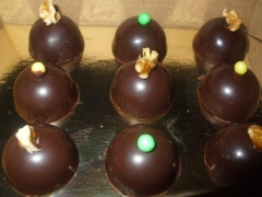 domopoires