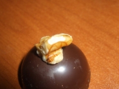 domopoire