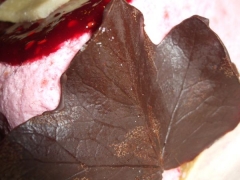 DSCF5787