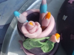 dscf6851